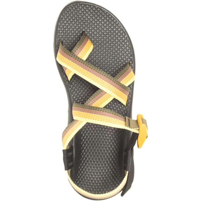 Sandalias Chaco Z/2® Classic Mujer Naranjas | 70AERZFMK