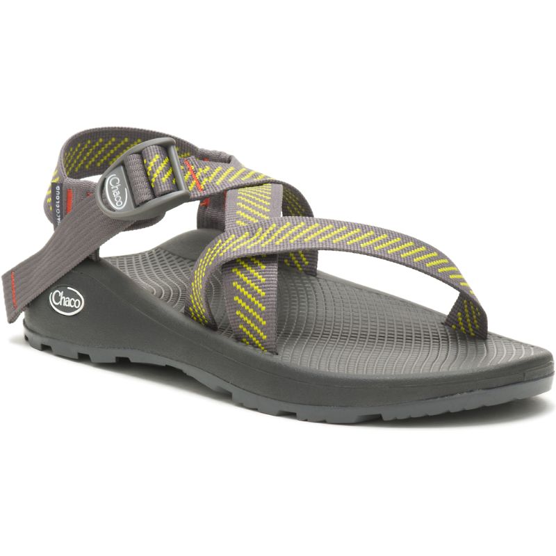 Sandalias Chaco Z/Cloud Hombre Gris | 18EFBKPIS