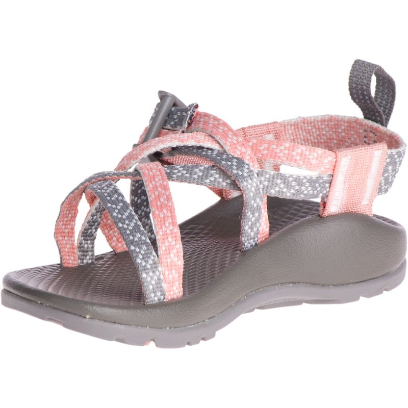 Sandalias Chaco Zx/1 Ecotread™ Niños Rosas Gris | 49IKNTQUS