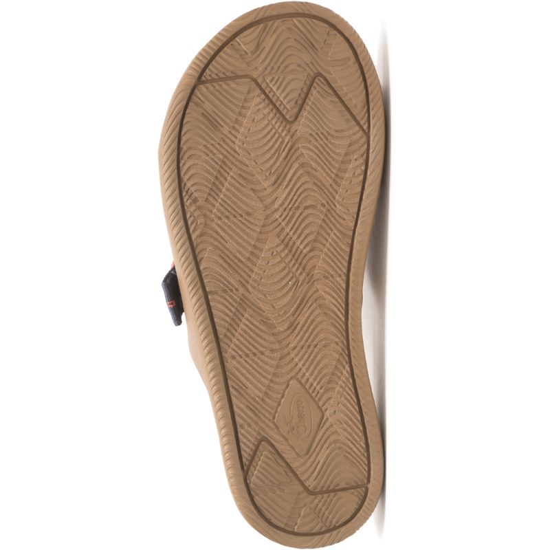 Sandalias de Diapositivas Chaco Chillos Hombre Moradas Marrones | 15NKFIPHZ