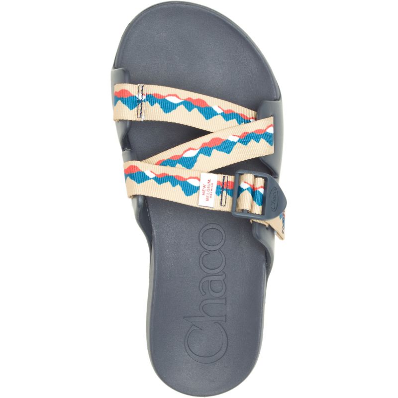 Sandalias de Diapositivas Chaco X New Belgium Chillos Hombre Azules Marrones | 39GDCJFUY